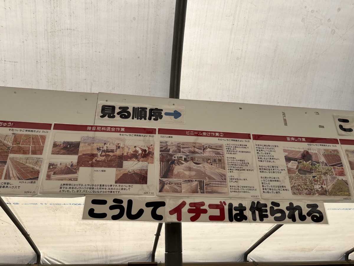 こうしてイチゴは作られる