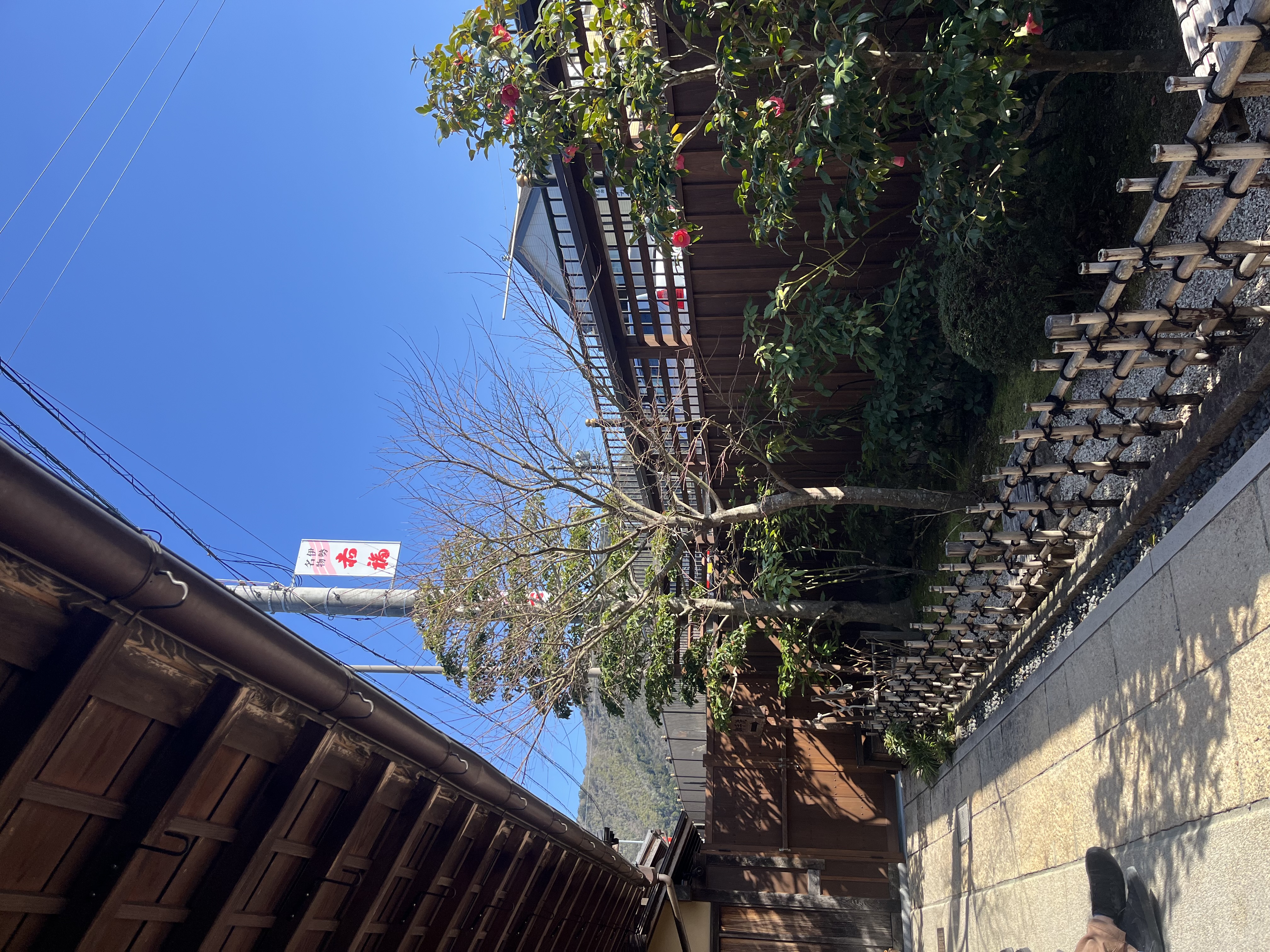 おかげ横丁の街並み