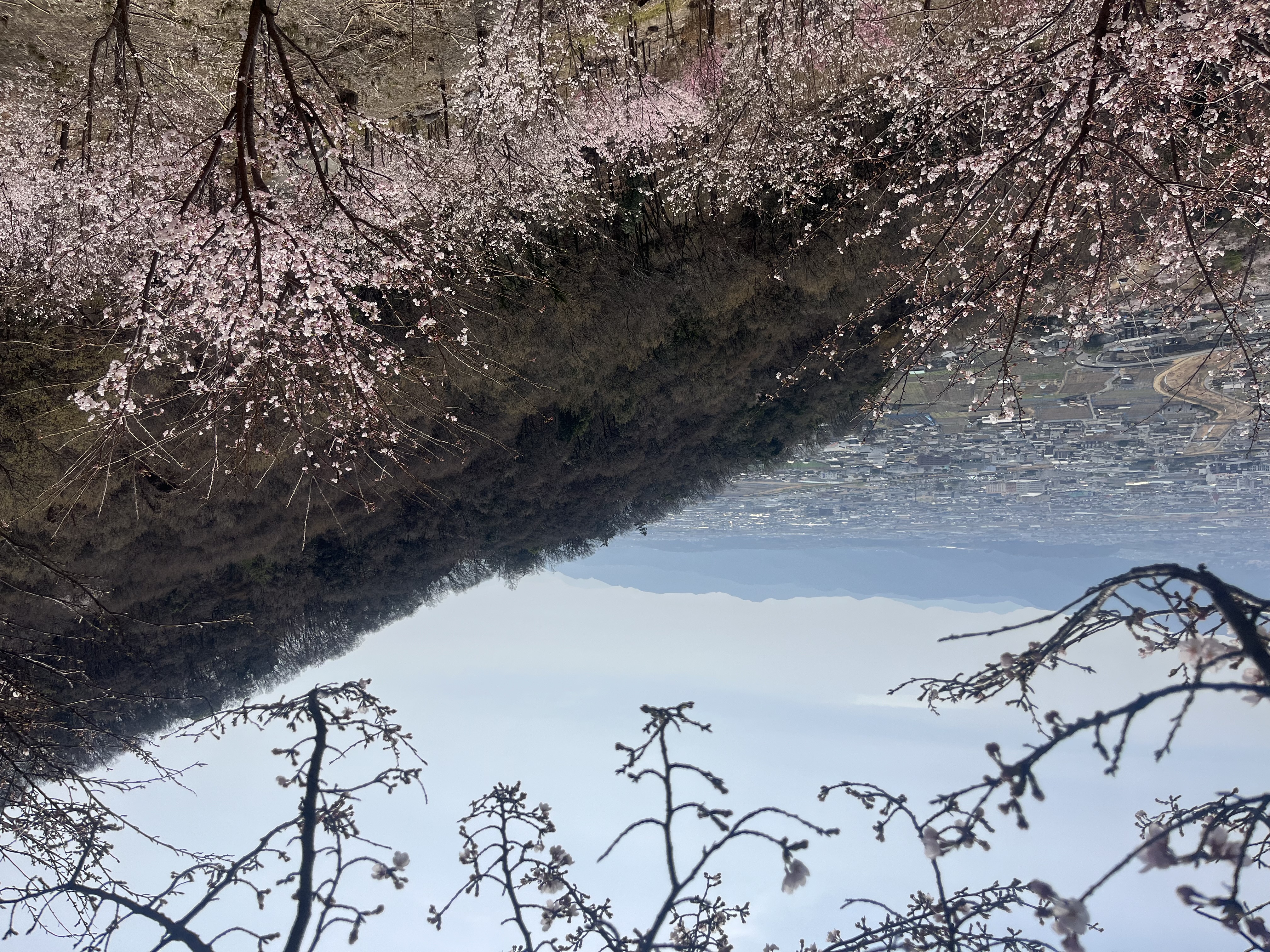 山頂からの絶景