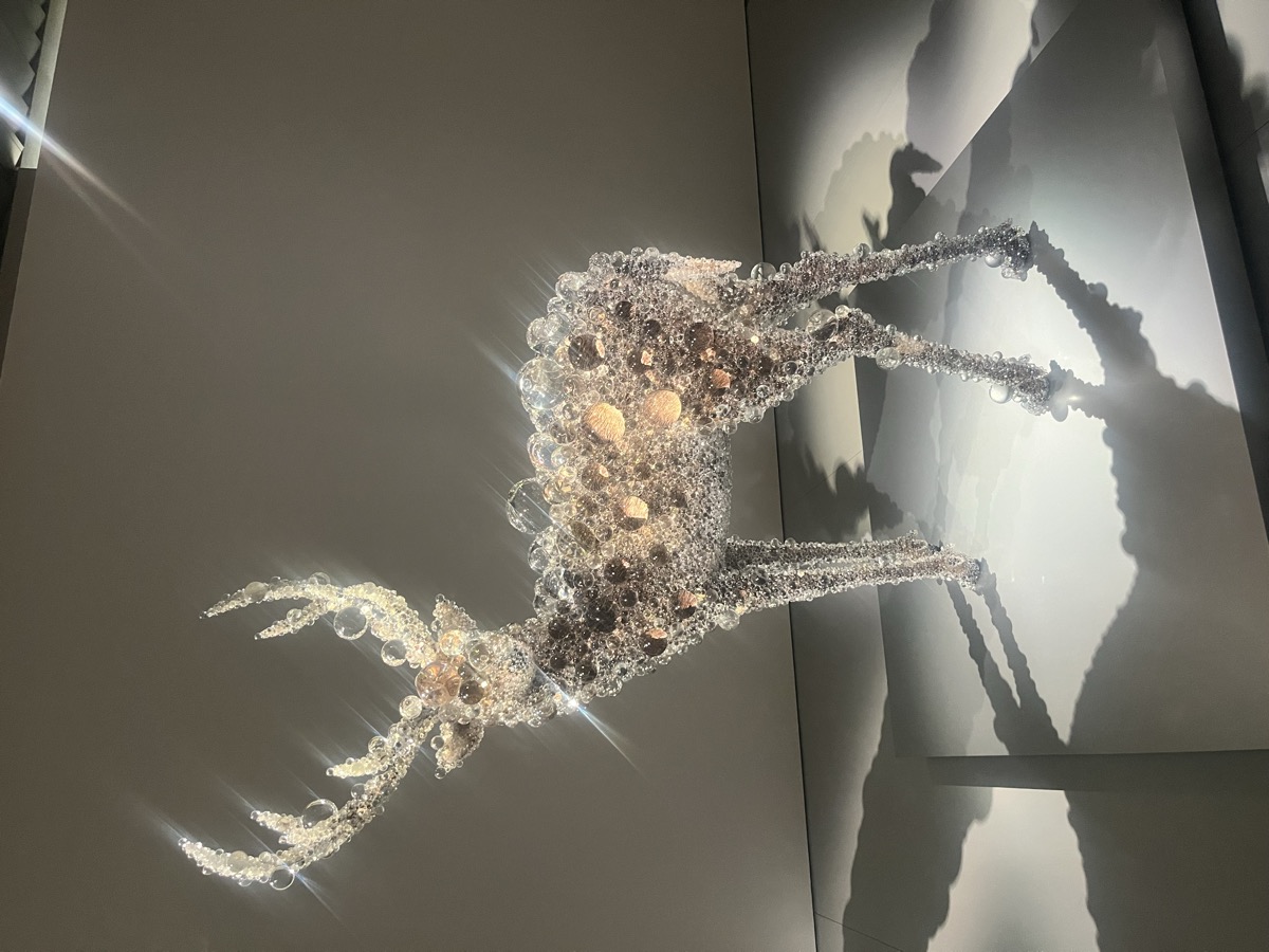 ポーラ美術館・アート作品