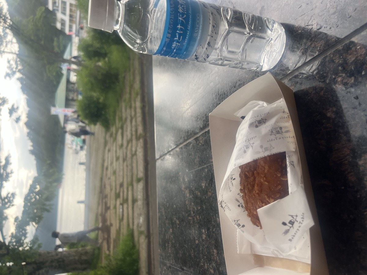 カレーパンと芦ノ湖