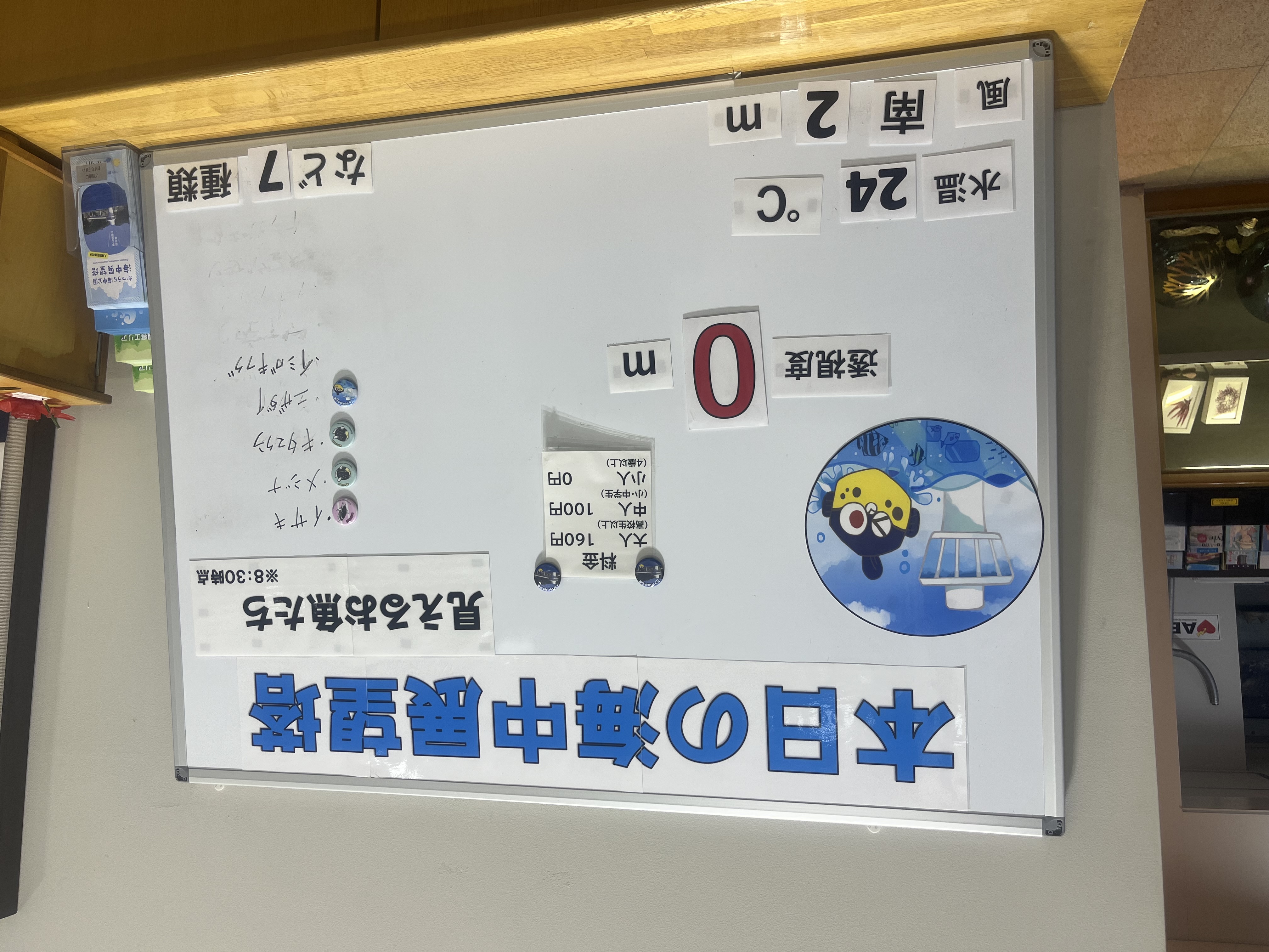 本日の透視度:0m