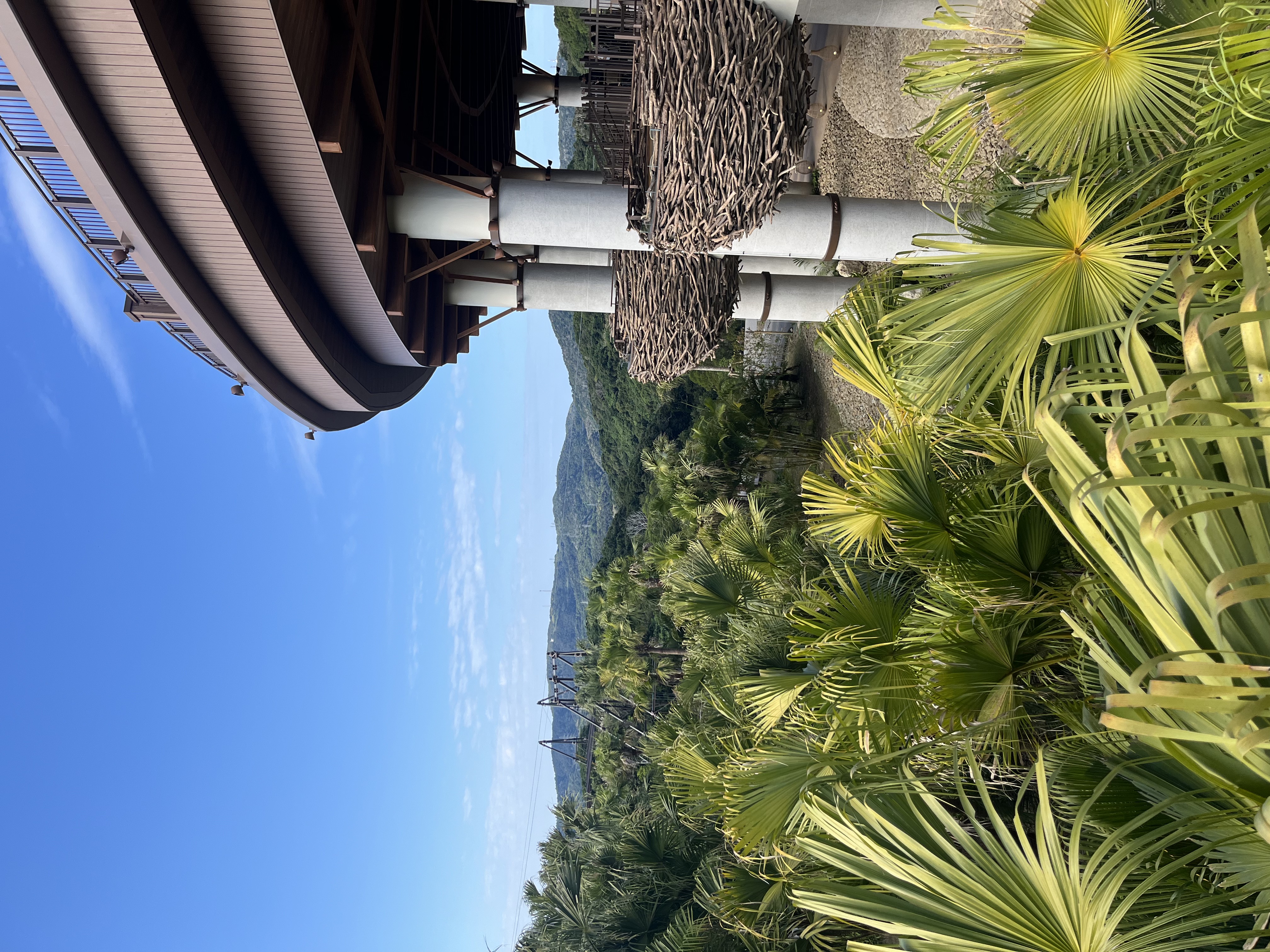 旅行の写真